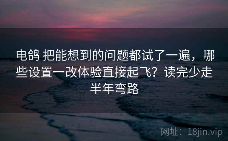 电鸽 把能想到的问题都试了一遍，哪些设置一改体验直接起飞？读完少走半年弯路