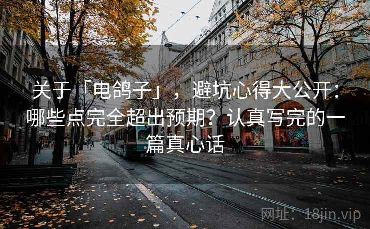 关于「电鸽子」，避坑心得大公开：哪些点完全超出预期？认真写完的一篇真心话