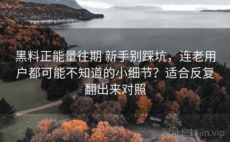 黑料正能量往期 新手别踩坑，连老用户都可能不知道的小细节？适合反复翻出来对照