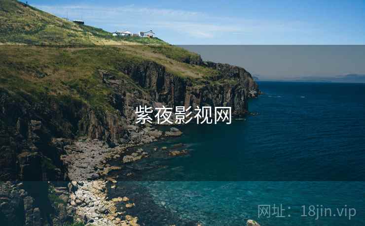 紫夜影视网 紫夜影视网