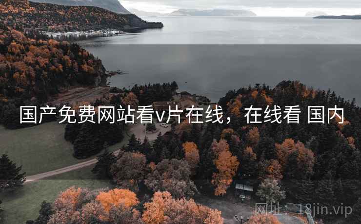 国产免费网站看v片在线，在线看 国内