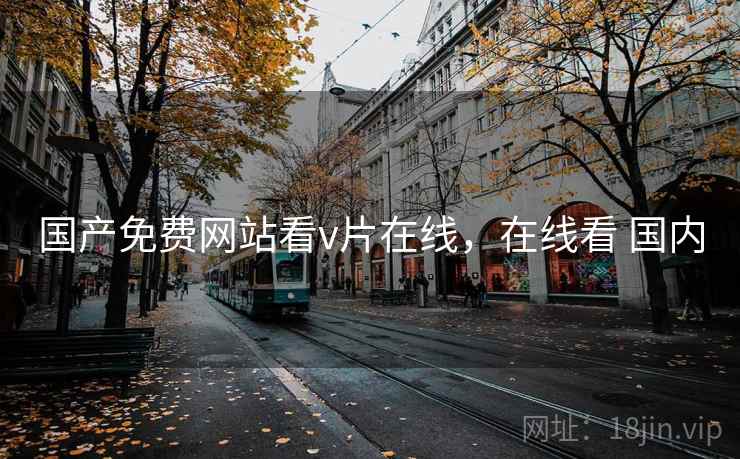 国产免费网站看v片在线，在线看 国内