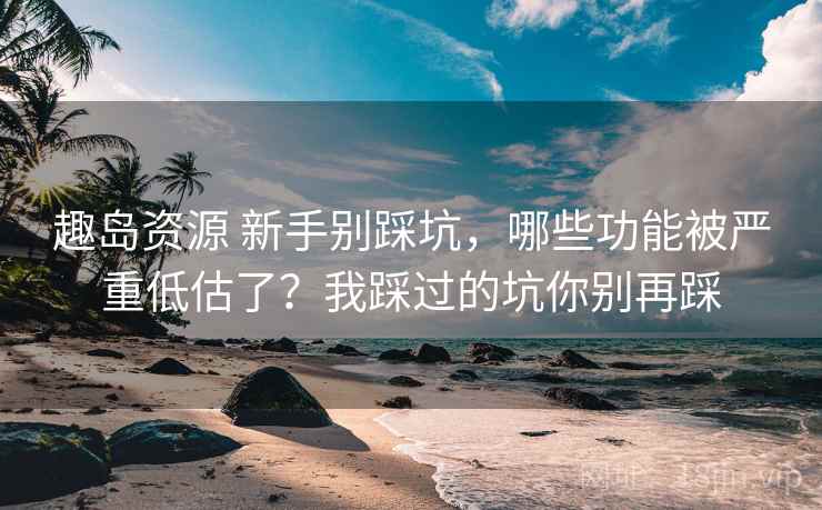 趣岛资源 新手别踩坑,哪些功能被严重低估了?我踩过的坑你别再踩