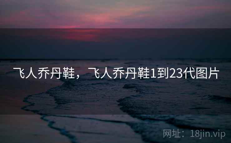飞人乔丹鞋，飞人乔丹鞋1到23代图片