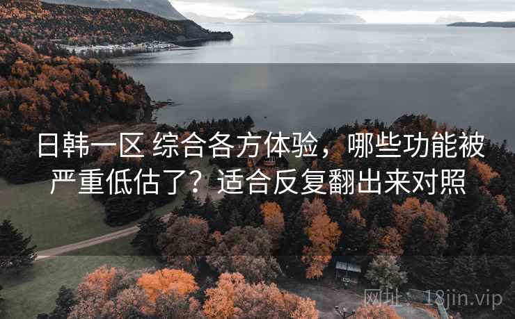 日韩一区 综合各方体验,哪些功能被严重低估了?适合反复翻出来对照 日韩一区 综合各方体验,哪些功能被严重低估了?适合反复翻出来对照
